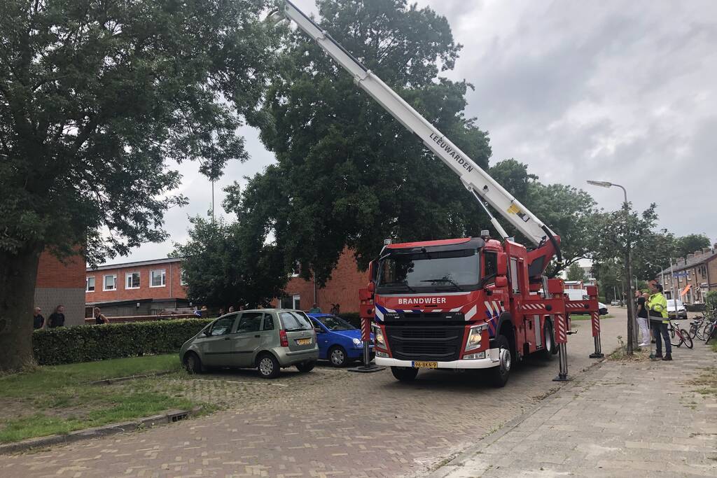 Papagaai met hoogwerker uit de boom gehaald