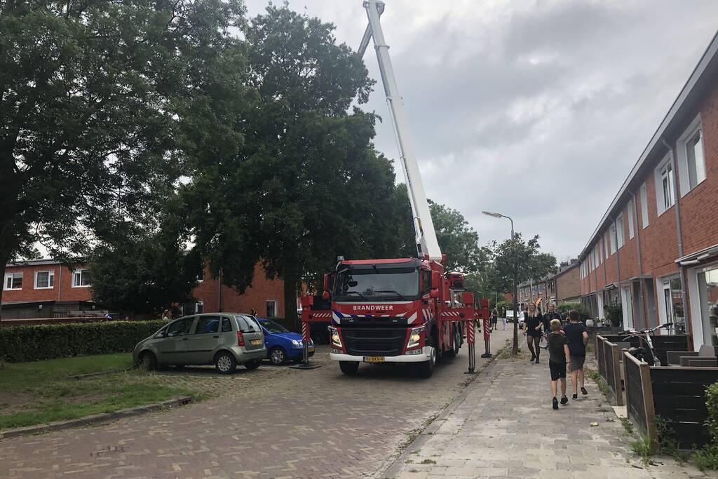 Papagaai met hoogwerker uit de boom gehaald