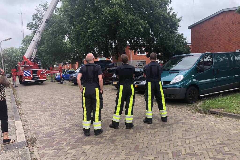 Papagaai met hoogwerker uit de boom gehaald