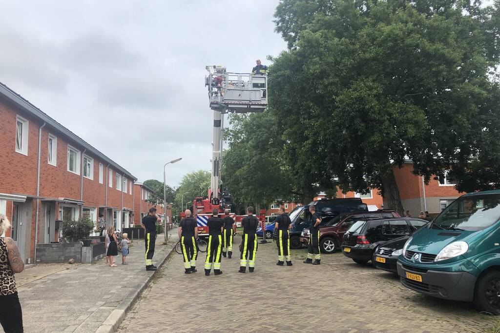 Papagaai met hoogwerker uit de boom gehaald
