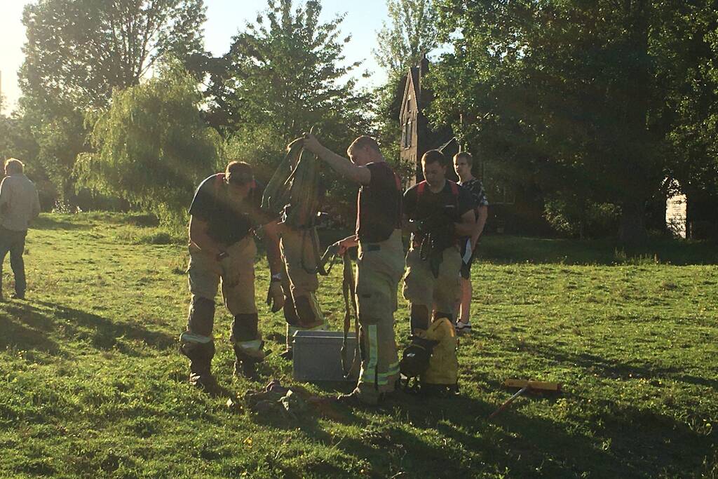 Paard belandt in sloot