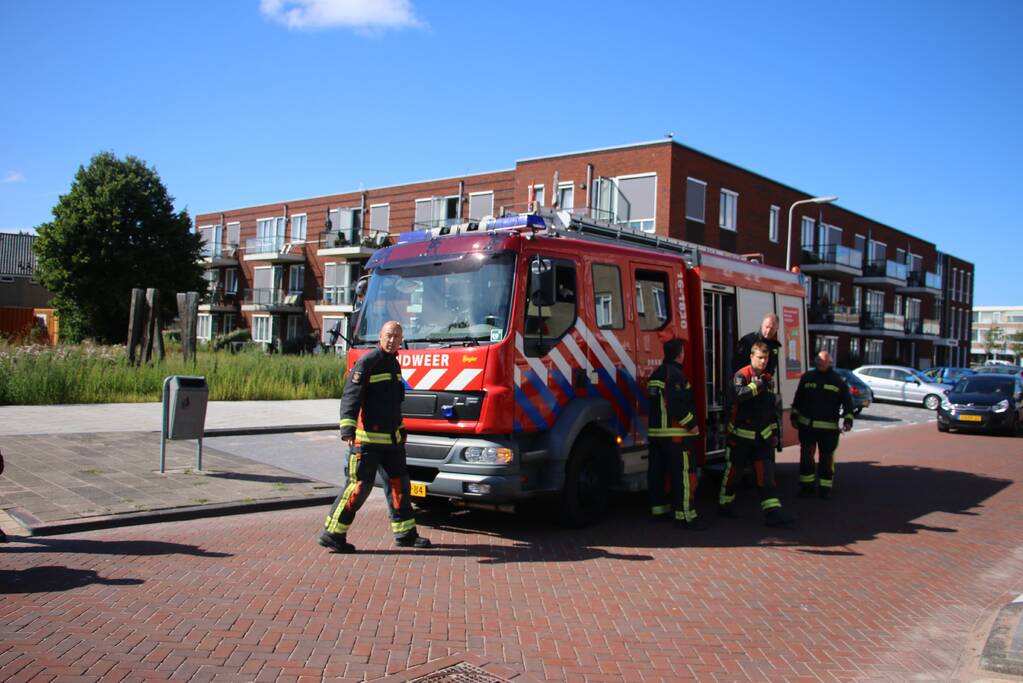 Papegaai uit boom gered