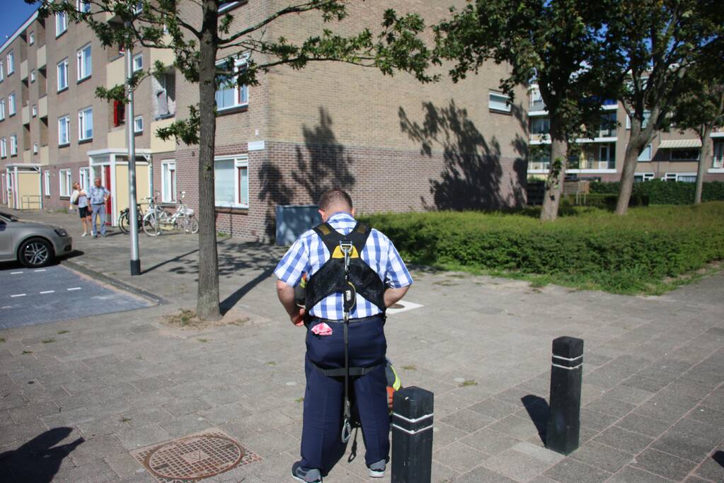 Papegaai uit boom gered