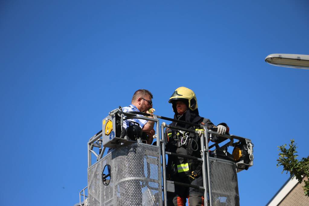 Papegaai uit boom gered