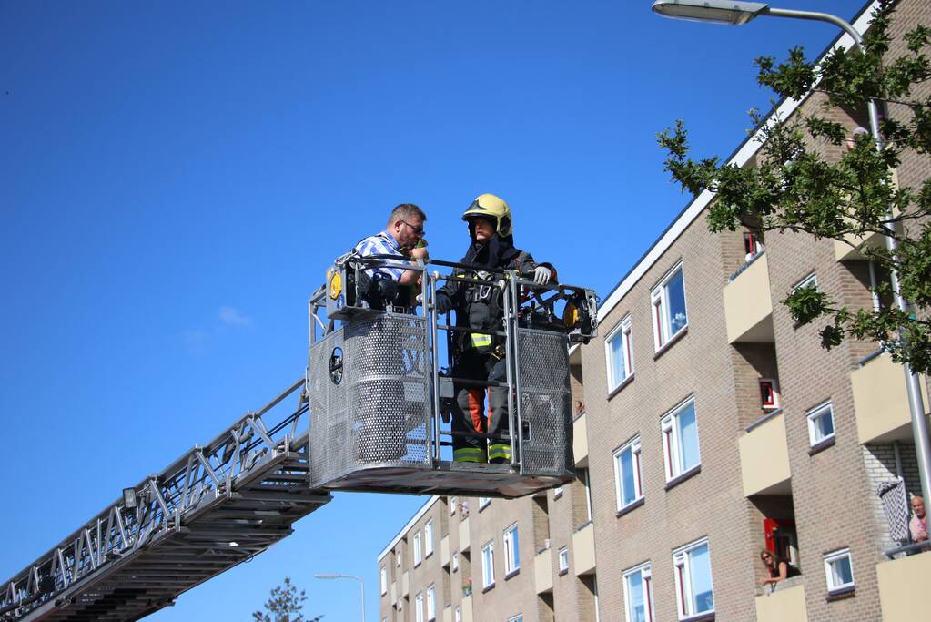 Papegaai uit boom gered