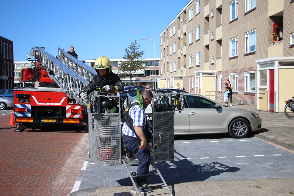 Papegaai uit boom gered