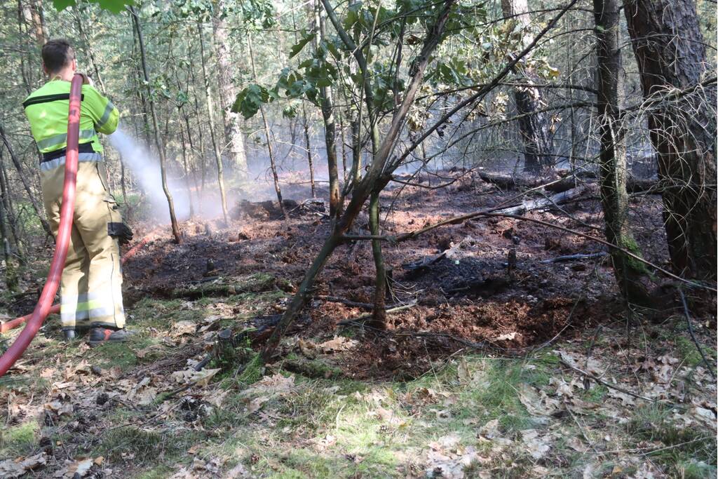 Flink stuk bos in brand