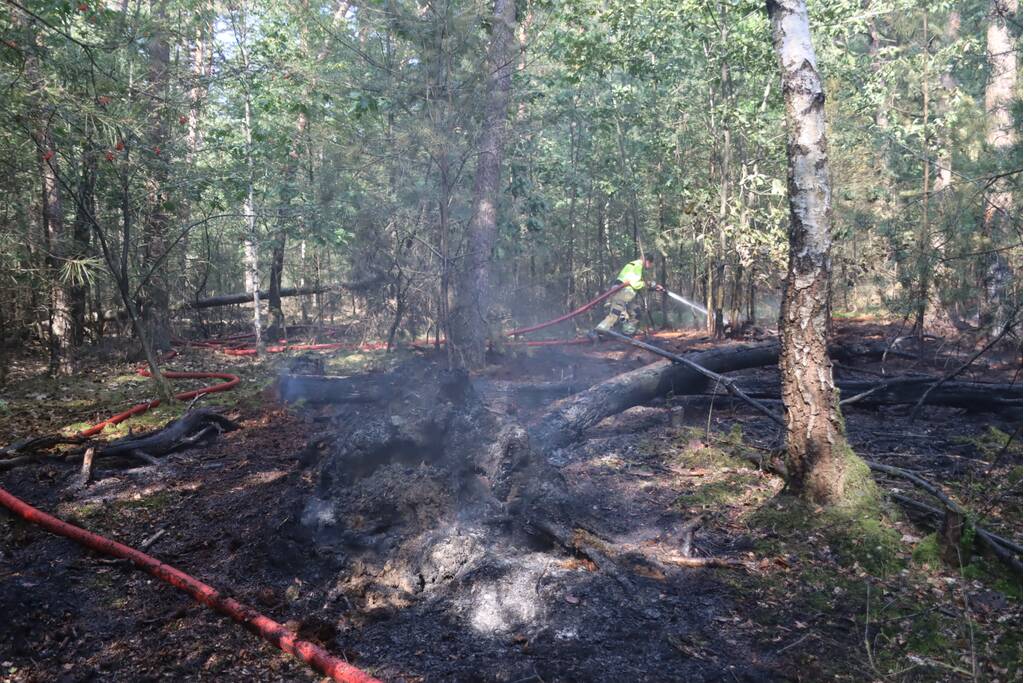 Flink stuk bos in brand