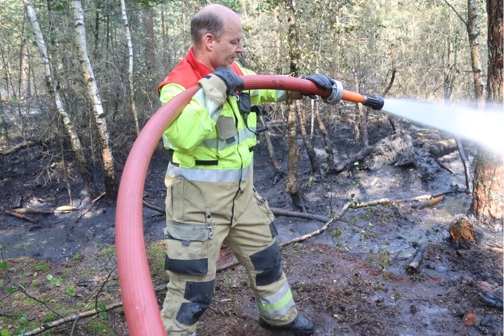 Flink stuk bos in brand