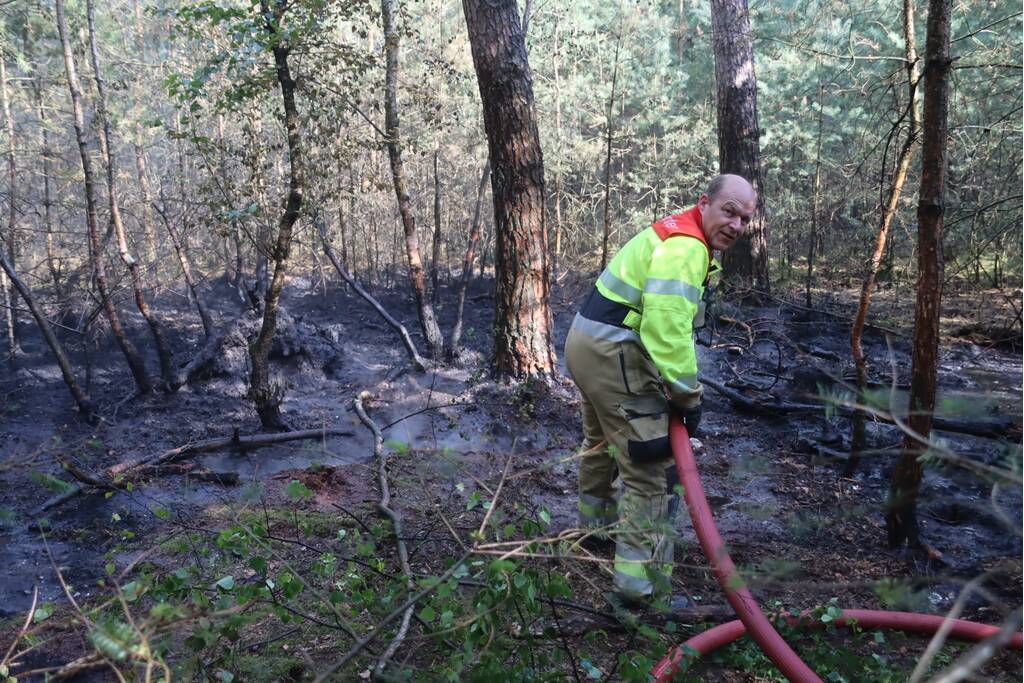 Flink stuk bos in brand