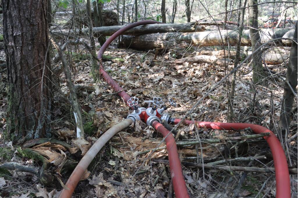 Flink stuk bos in brand