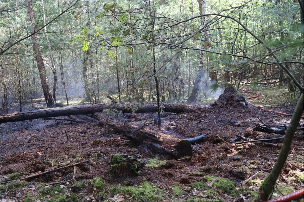 Flink stuk bos in brand