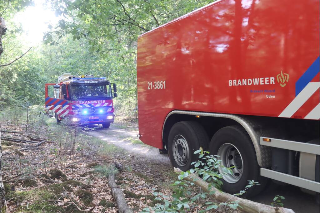 Flink stuk bos in brand