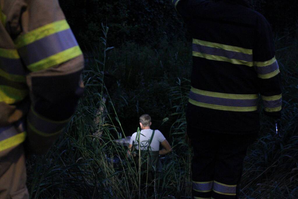 Brandweer bevrijd vastzittende jonge zwaan
