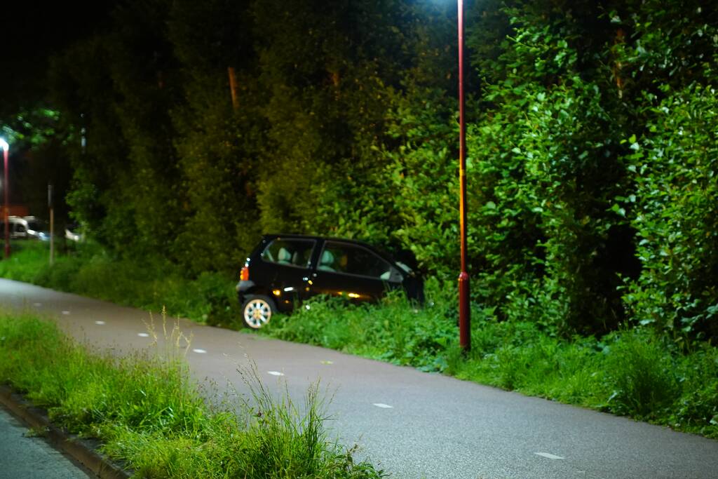 Auto raakt van de weg en belandt in struiken