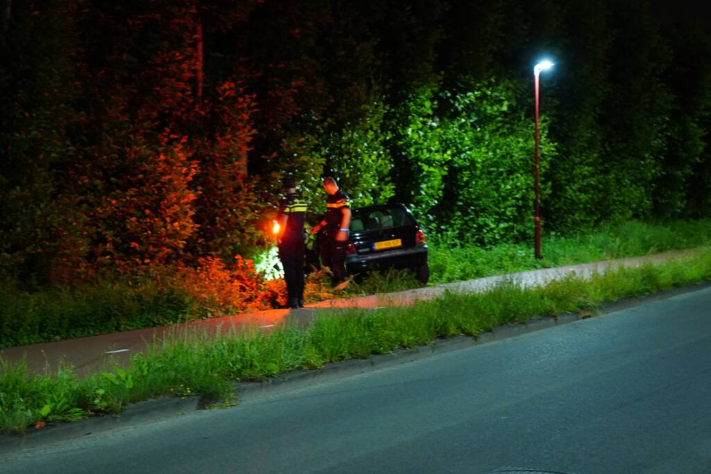 Auto raakt van de weg en belandt in struiken