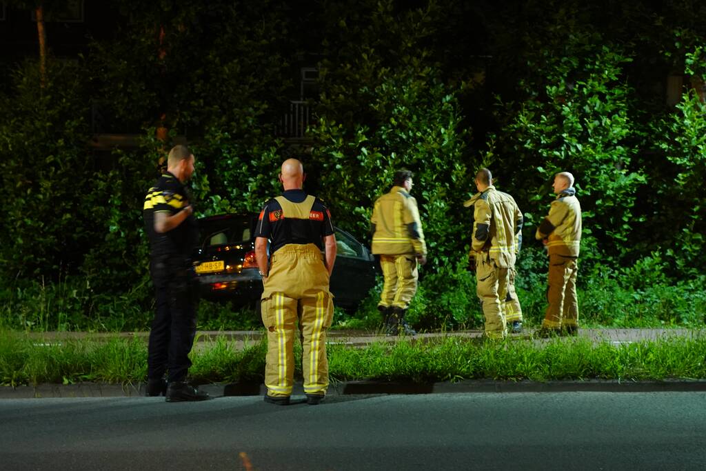 Auto raakt van de weg en belandt in struiken