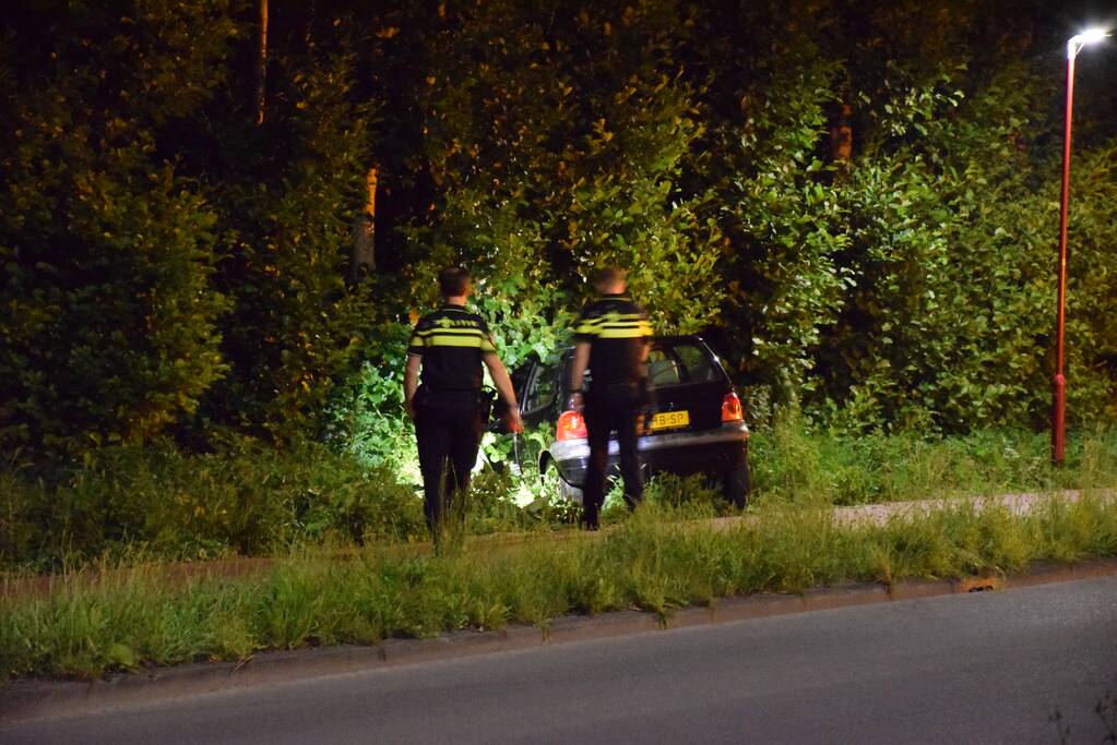 Auto raakt van de weg en belandt in struiken