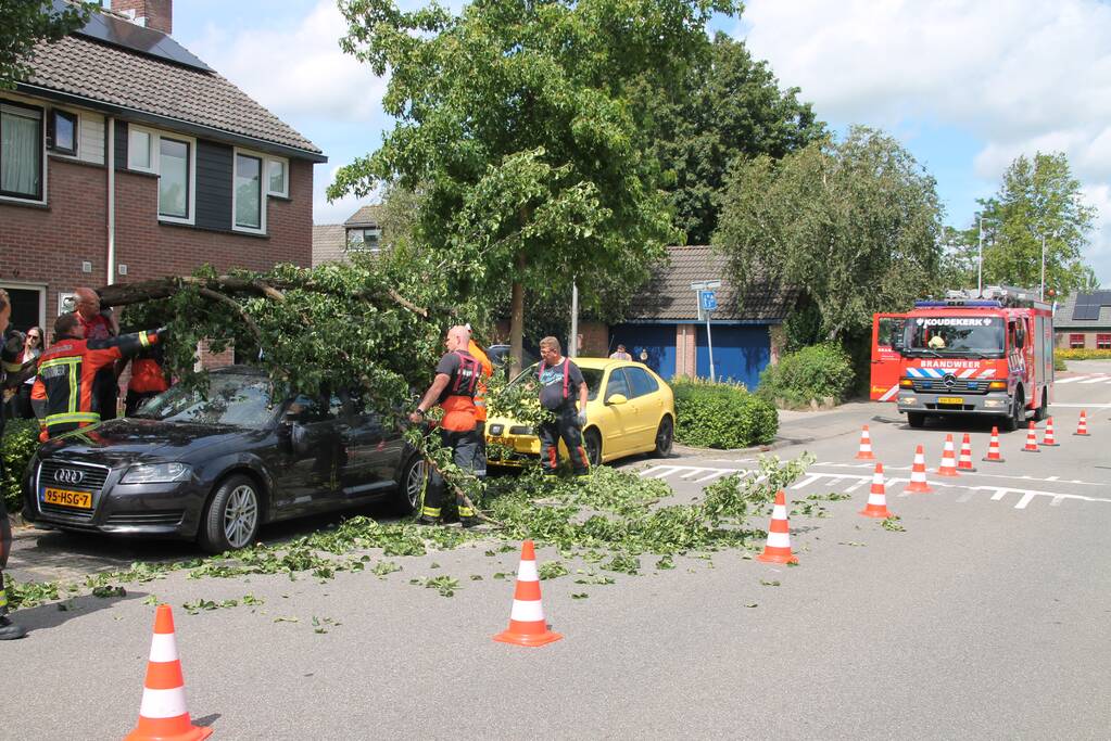 Auto beschadigd nadat tak afbreekt