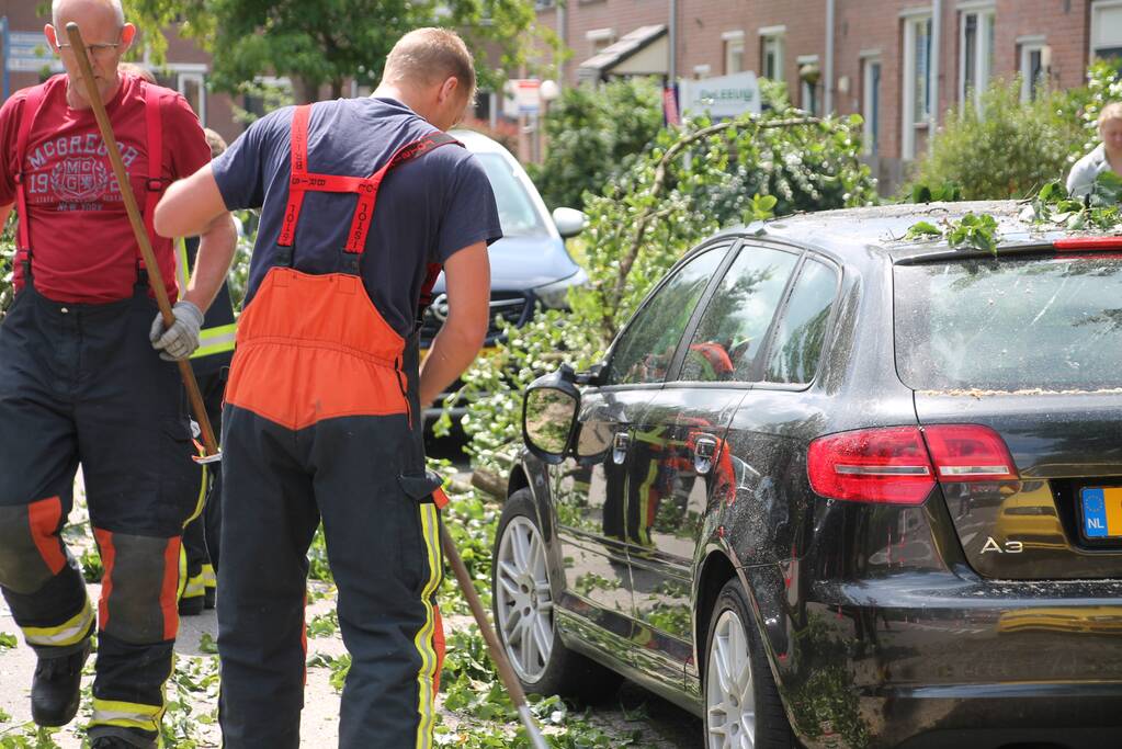 Auto beschadigd nadat tak afbreekt