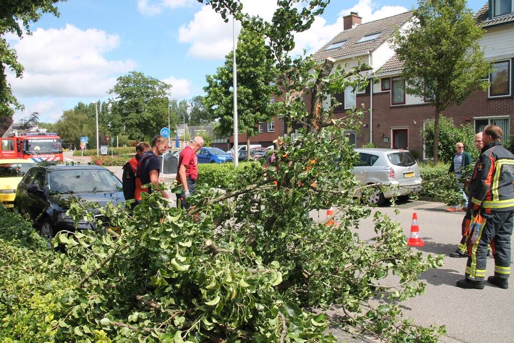 Auto beschadigd nadat tak afbreekt