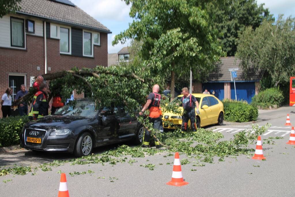 Auto beschadigd nadat tak afbreekt