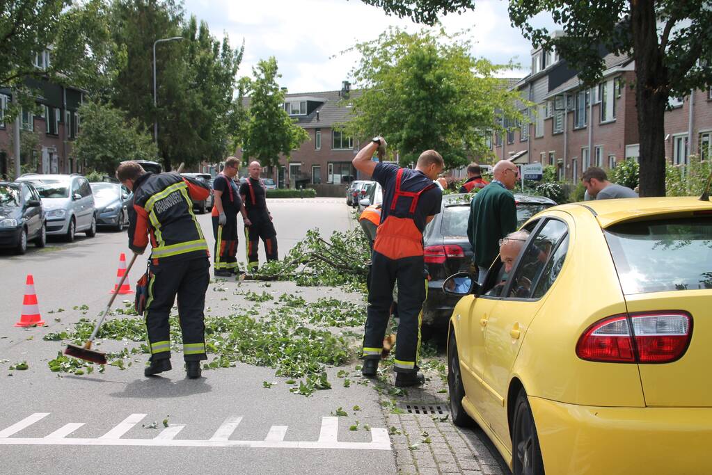Auto beschadigd nadat tak afbreekt