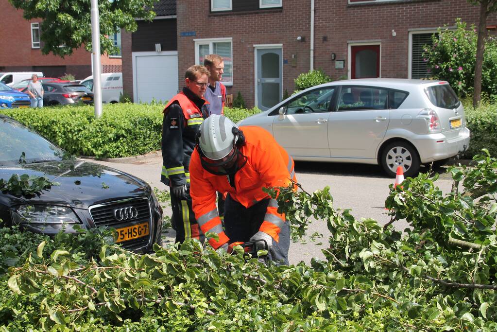 Auto beschadigd nadat tak afbreekt