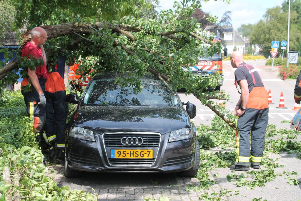Auto beschadigd nadat tak afbreekt