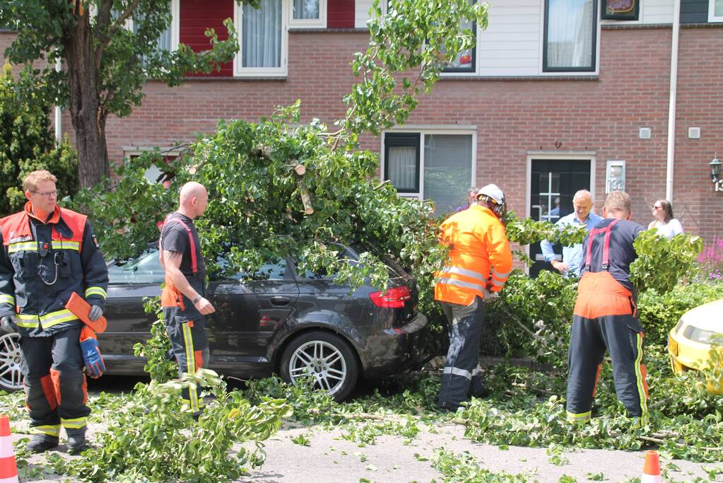 Auto beschadigd nadat tak afbreekt