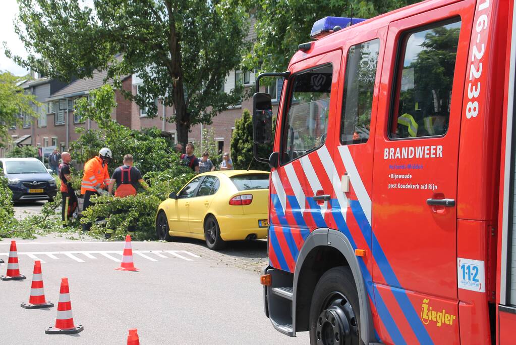 Auto beschadigd nadat tak afbreekt