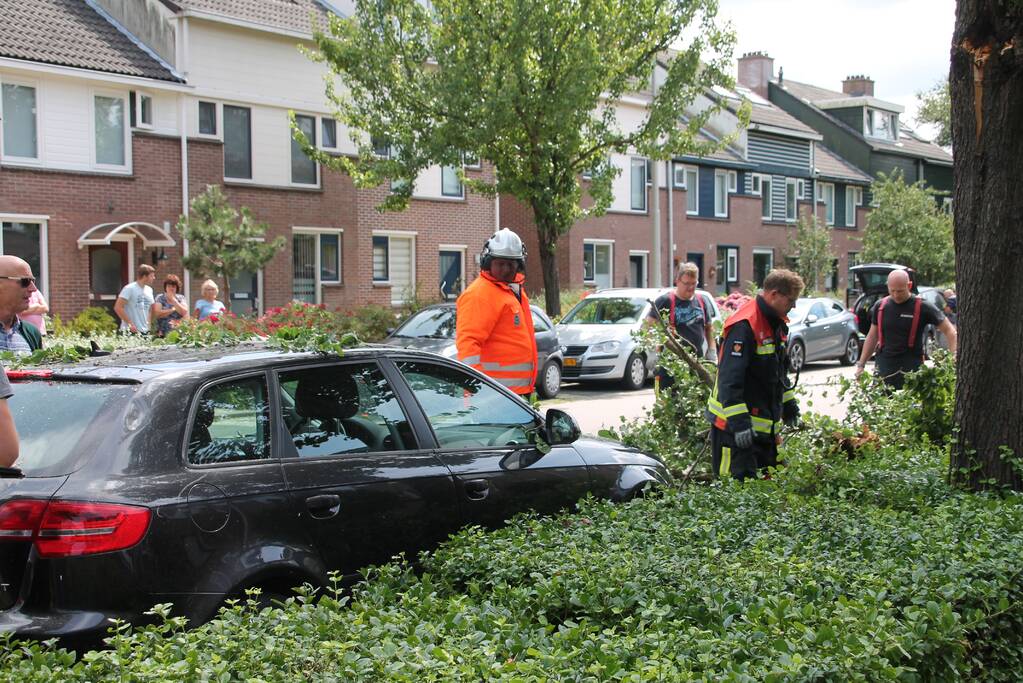 Auto beschadigd nadat tak afbreekt