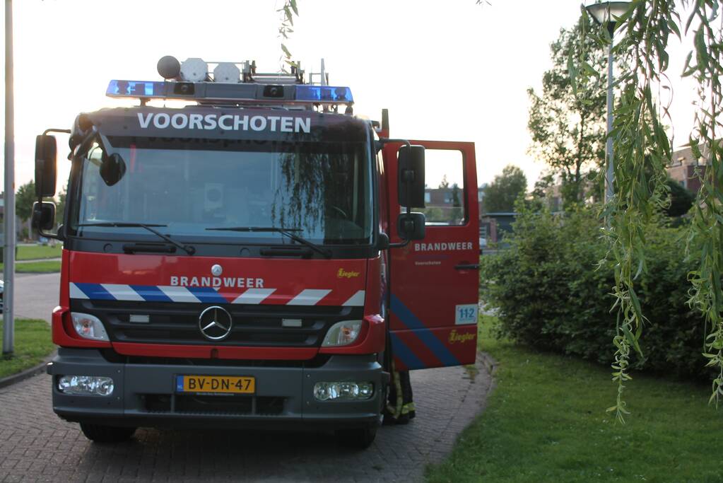 Brandweer redt kat uit boom