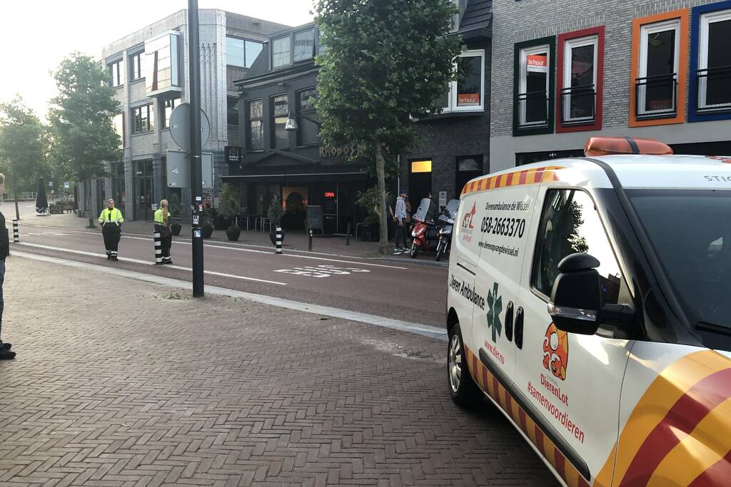 Vastzittende duiven door brandweer bevrijd