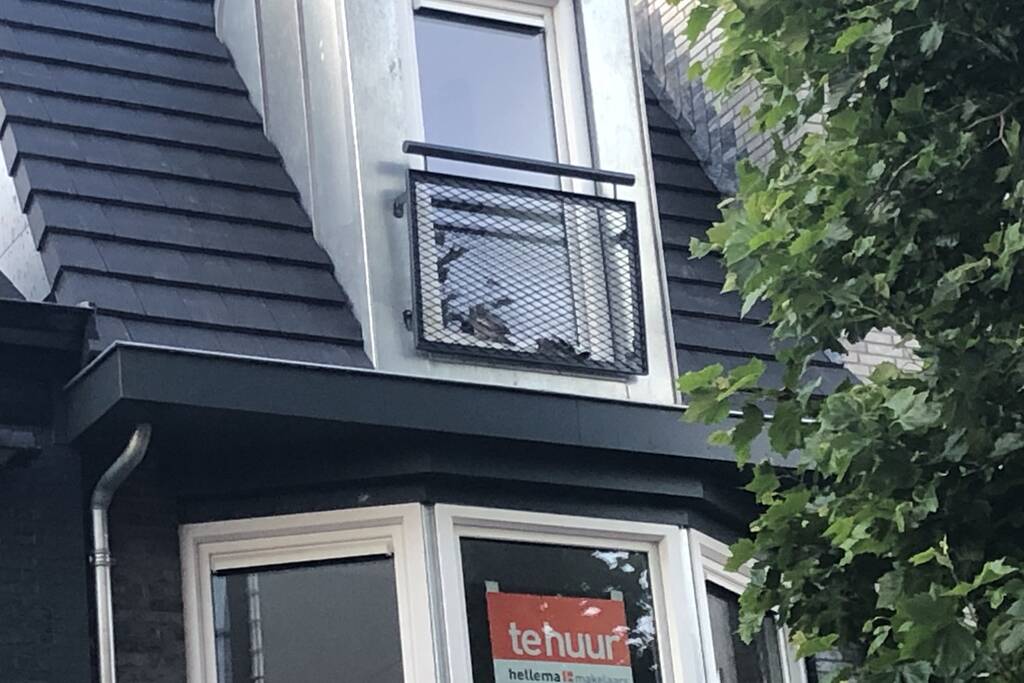 Vastzittende duiven door brandweer bevrijd