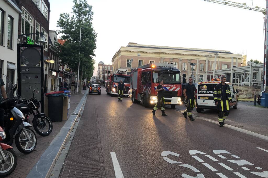 Vastzittende duiven door brandweer bevrijd