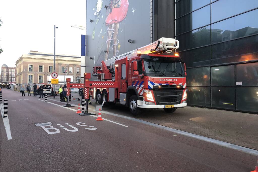 Vastzittende duiven door brandweer bevrijd