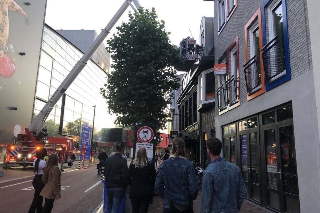 Vastzittende duiven door brandweer bevrijd