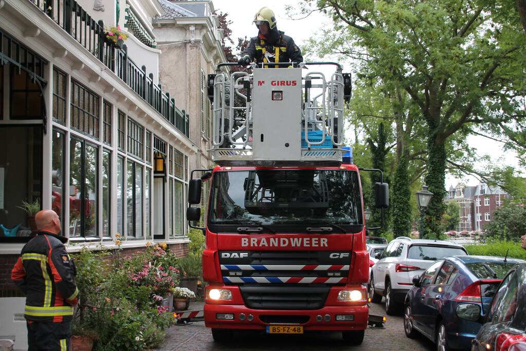 Vastzittende vogel door brandweer uit boom bevrijdt