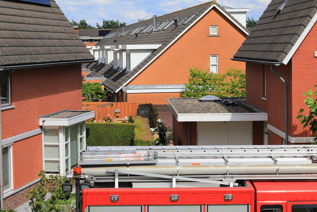 Onkruidbrander zet coniferenhaag in de brand
