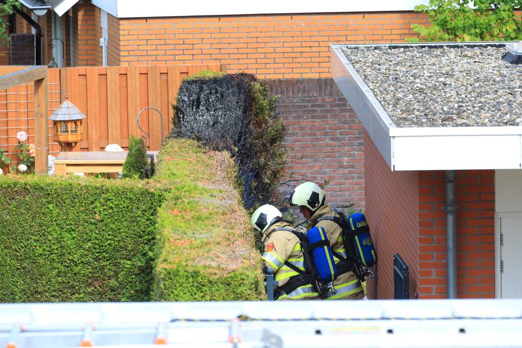 Onkruidbrander zet coniferenhaag in de brand