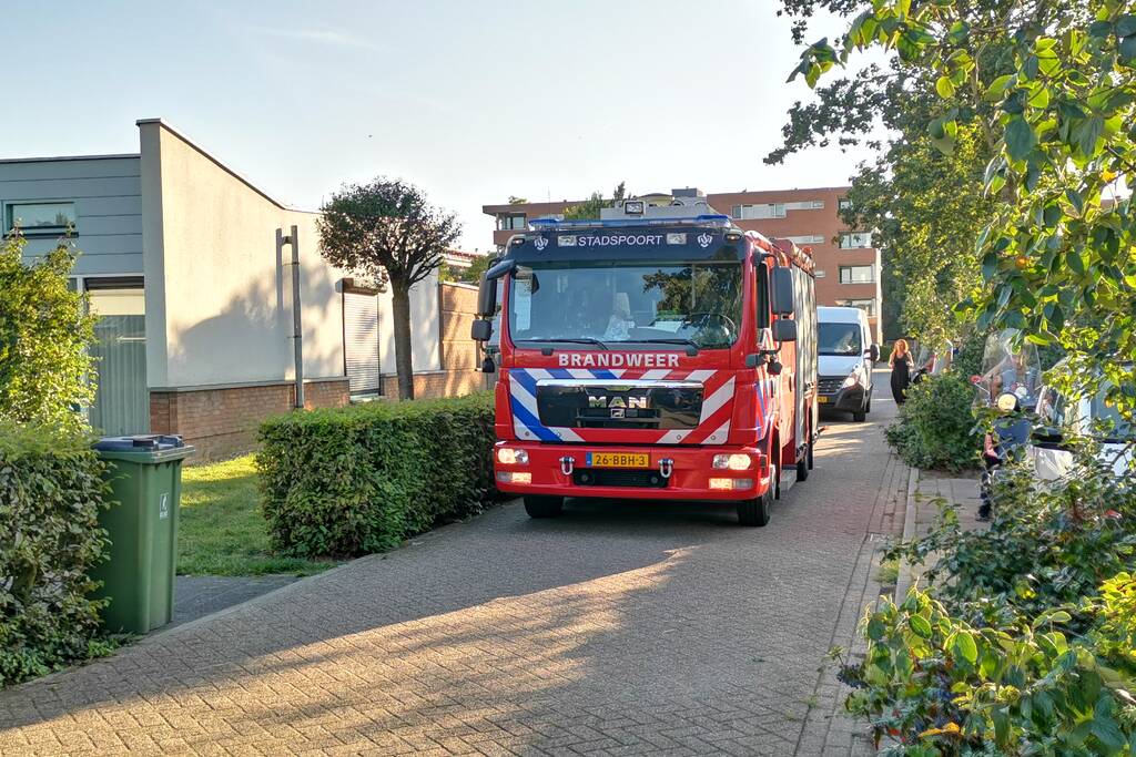 Coniferenhaag in brand