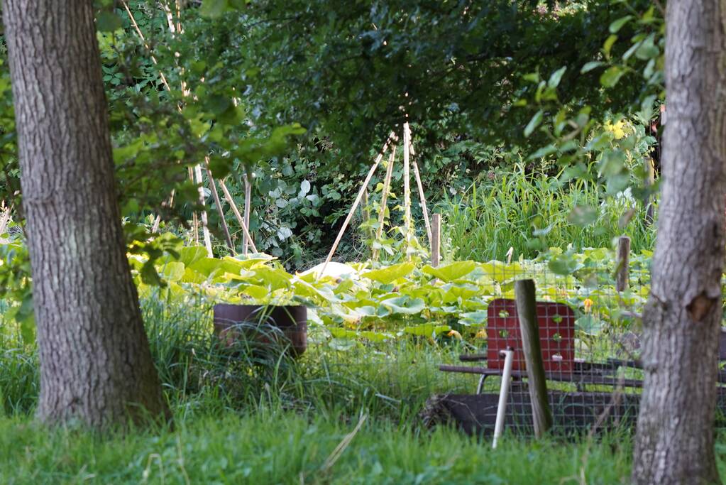 Man overleden na val in sloot Wollefoppenpark