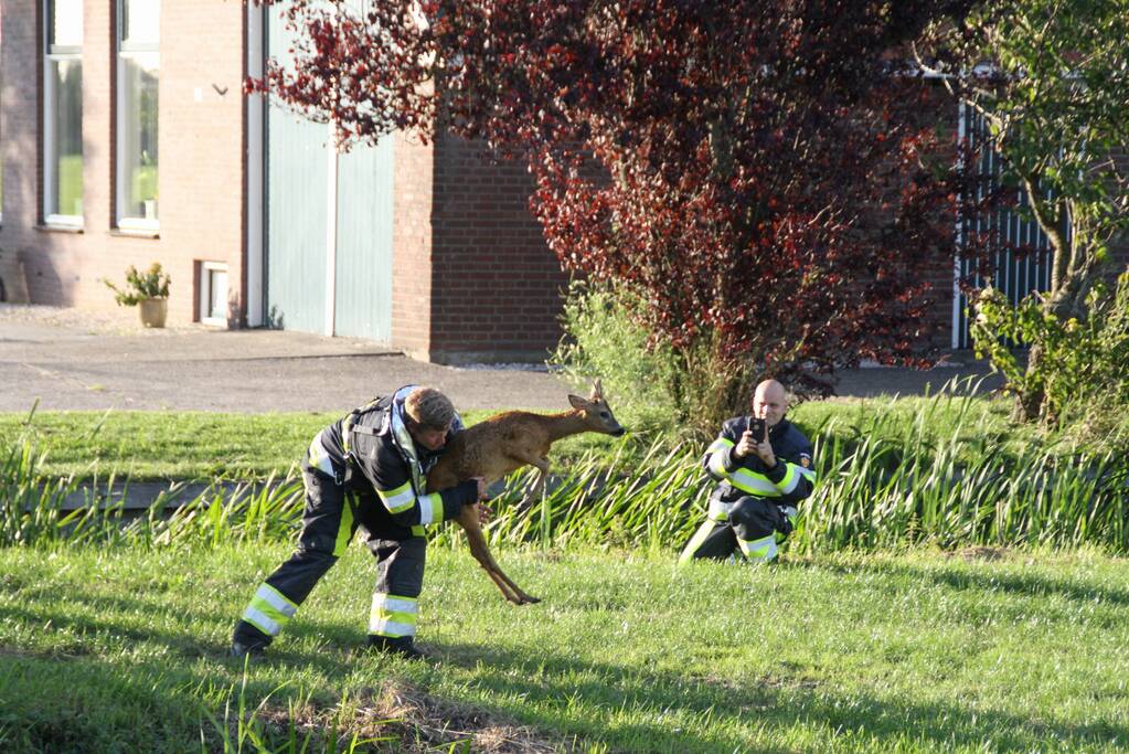 Ree bevrijdt onder boothuis