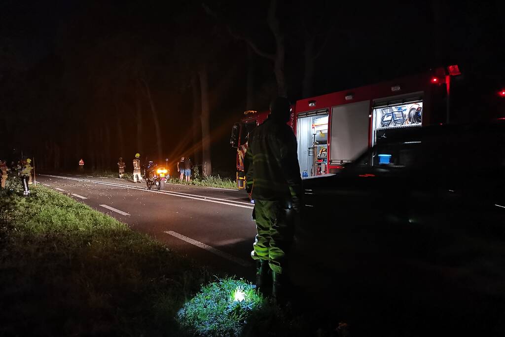 Auto's beschadigd nadat ze op afgebroken tak botsen