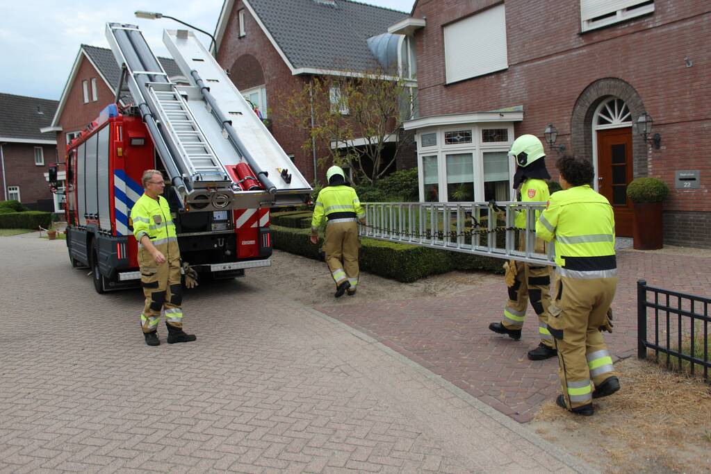 Kat springt uit de boom bij reddingsactie