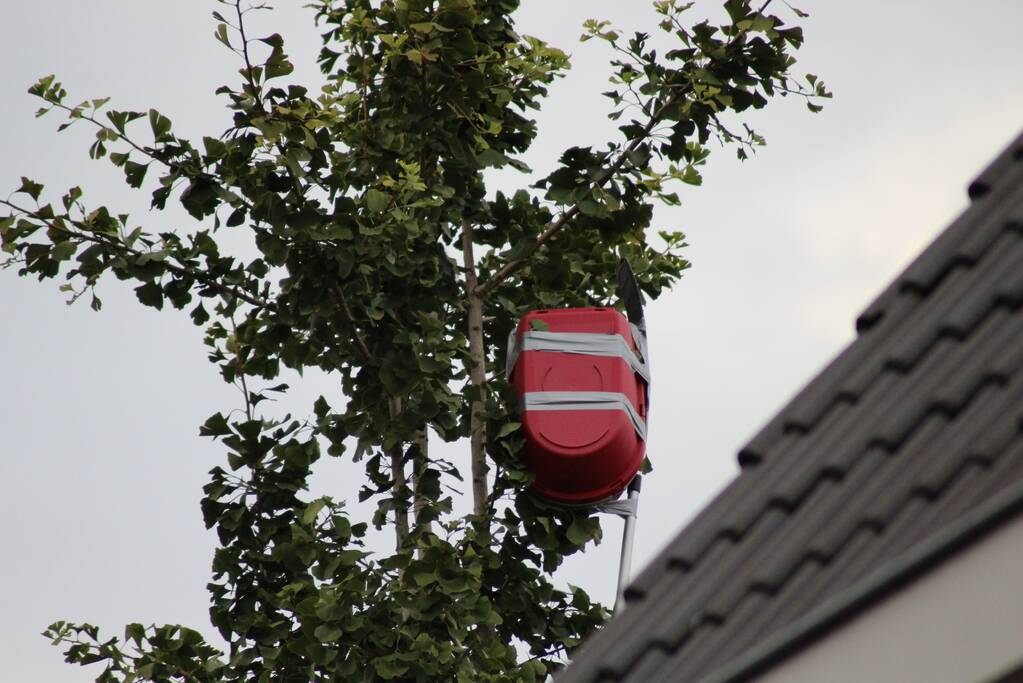 Kat springt uit de boom bij reddingsactie