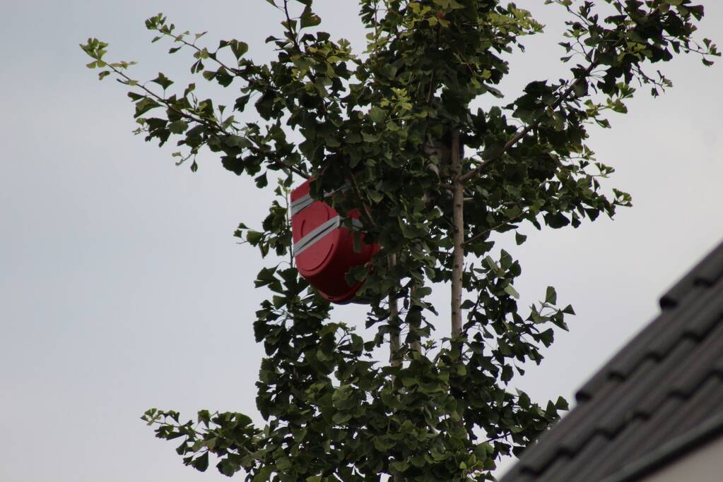 Kat springt uit de boom bij reddingsactie