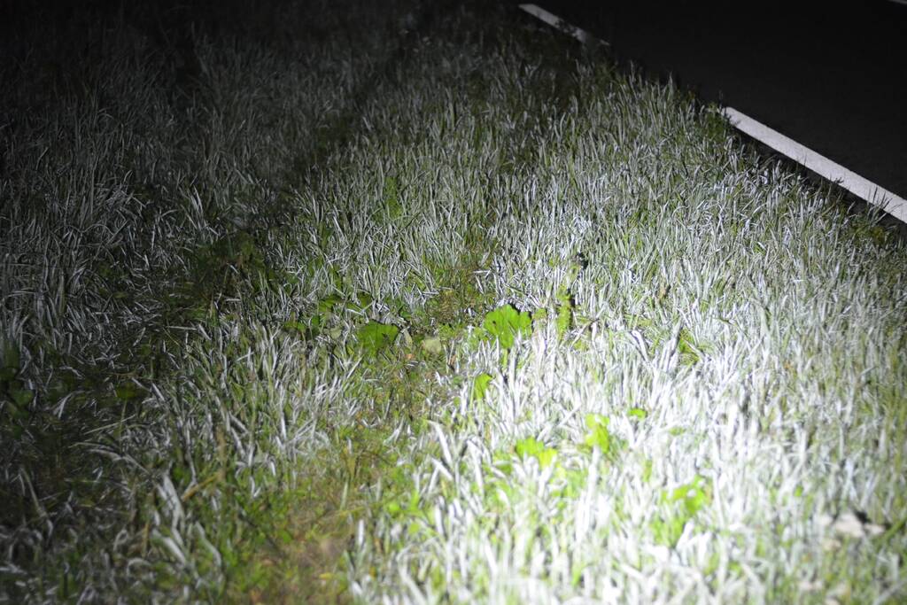 Auto raakt van de weg belandt in Aarkanaal