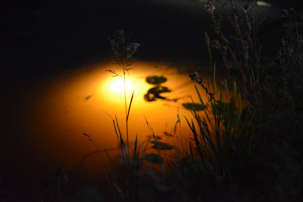 Auto raakt van de weg belandt in Aarkanaal